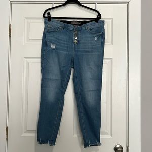 Torrid Jeans